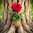 @Aminaha-e9z