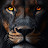 @joel8378-t9n