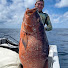 jalBwrqWsGg-channel-avatar-Braden Dives