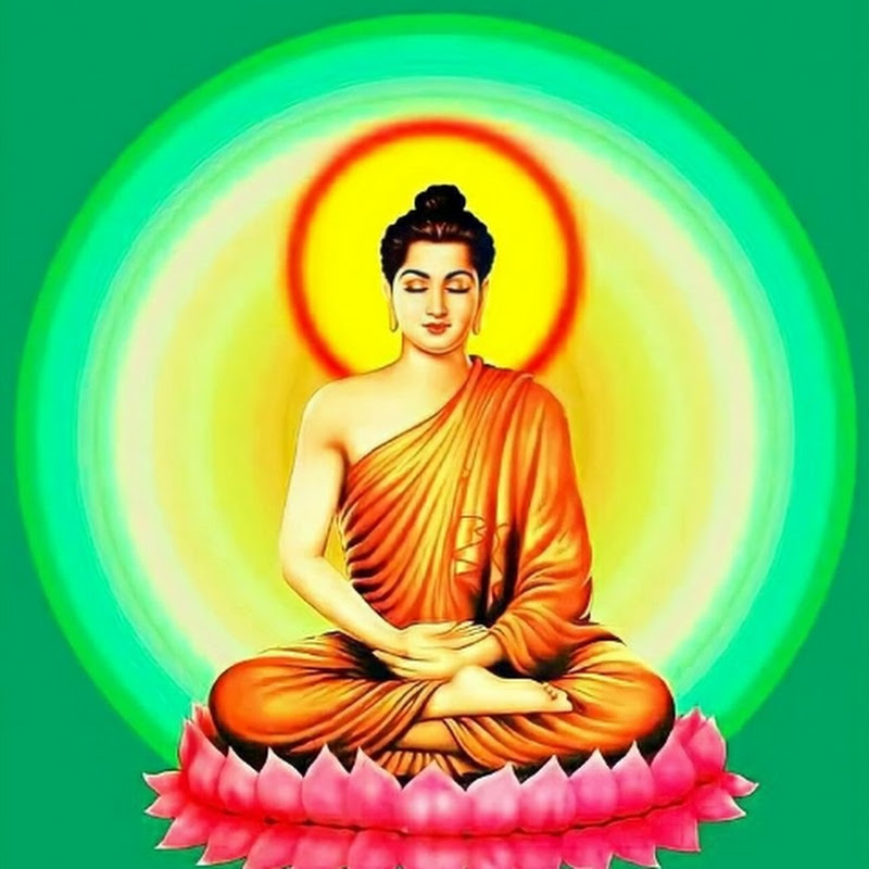 DHAMMA MM Logo