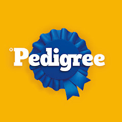 Pedigree MX