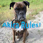 Akira Rules 🐶