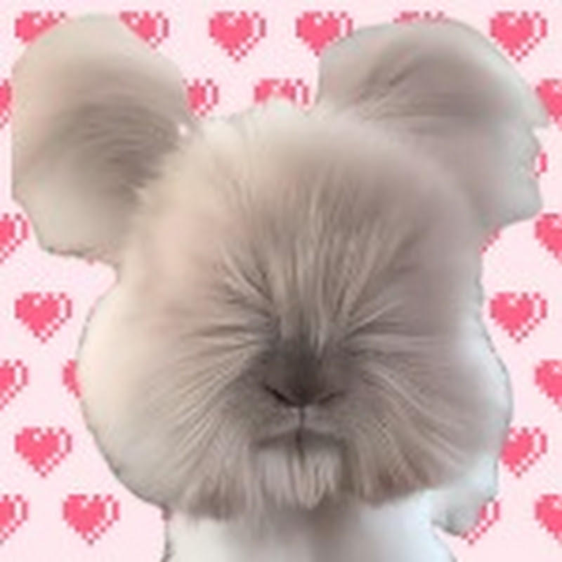 울다냥웃다멍 thumbnail