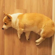 北海道の暮らしと常に体調不良