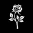 hauAGa5oWSM-channel-avatar-slxwedrexverb