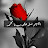 @sheinaelwafa1477