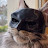 @KingBacon-t4w Avatar