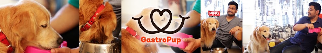 GastroPup - Healthy Food For Dogs ইউটিউব চ্যানেল অ্যাভাটার