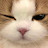 @샹크5
