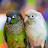 @mylittlebeaks's avatar