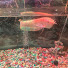 ZlwFAZGHRDM-channel-avatar-Little Huts