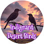 Indignant Desert Birds logo