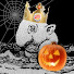 s8kzmC2Oo4I-channel-avatar-Totoro_ TV