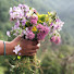 PmcTfXqsSsY-channel-avatar-Nature Kija