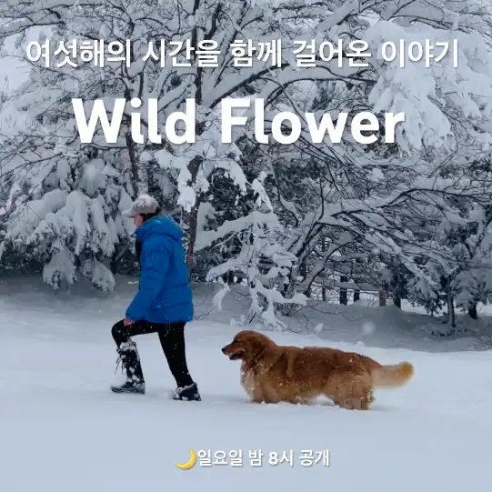 와일드플라워