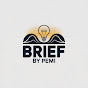 Brief by Pemi logo
