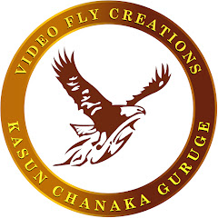 Логотип каналу VideoFly Creations