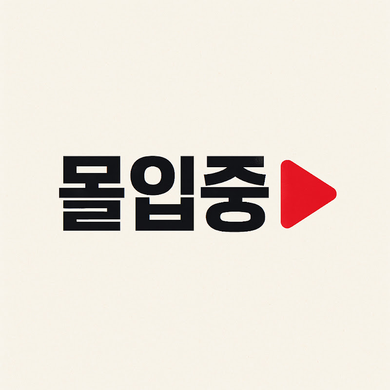 몰입중