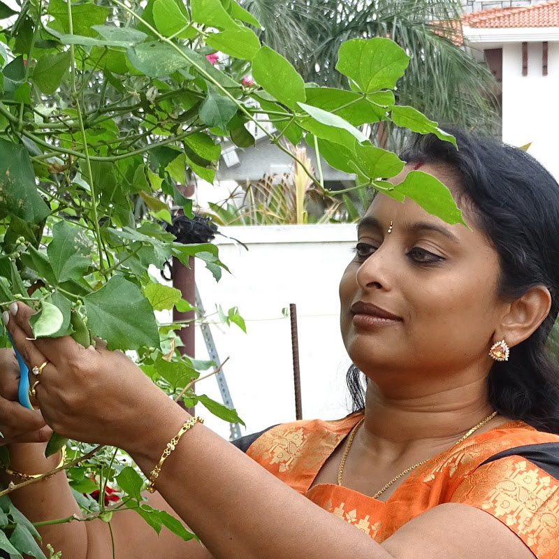 Smita's Fresh from my Garden