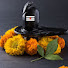 1rujcAKmdtM-channel-avatar-shipraPathak