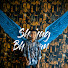 XSMSRDNTxEE-channel-avatar-Shohag Bhuiyan