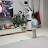 @tv-bp6fz