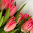 @Wahdaa-g6r