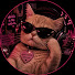 695cNJn4Djk-channel-avatar-Professionally Delusional Playlists