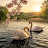 @marwa_ahmed1