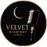 aQhH6hFVaKs-channel-avatar-Velvet Midnight