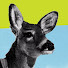 FxkWyhmtbdk-channel-avatar-hoppythedeer