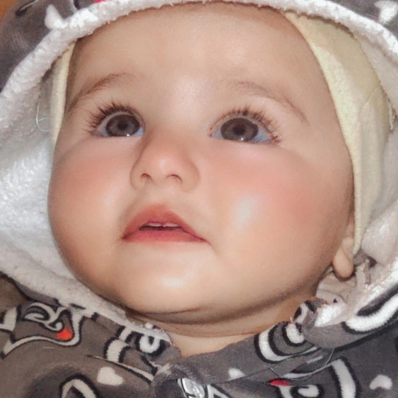Mirza home