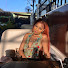 7ICuPyjjHxA-channel-avatar-Abena.lifestyle 