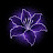 @tabasumFazli21