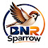 Kj7QSYVXPGo-channel-avatar-BNR Sparrow