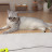 @요미_튜브