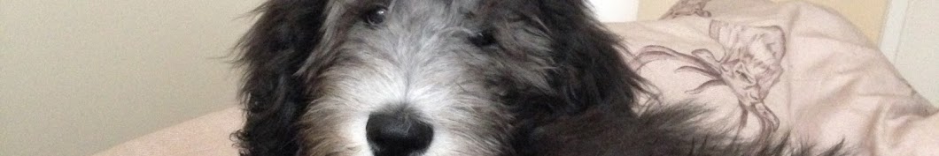 Buffy Sheepadoodle Avatar channel YouTube 