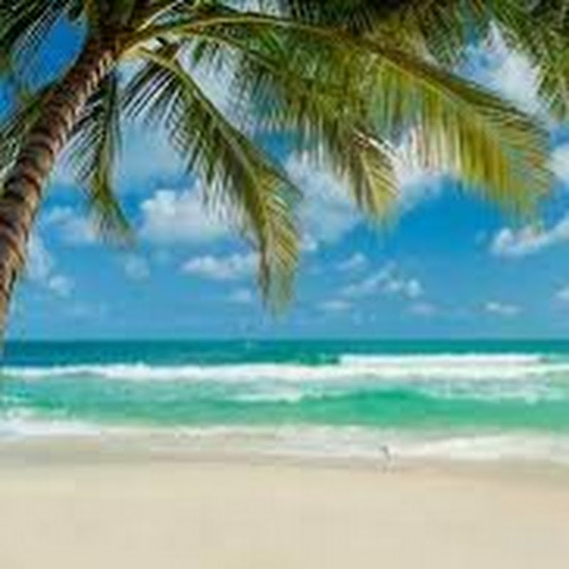 Destination Vacation