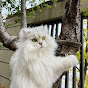 Miniature