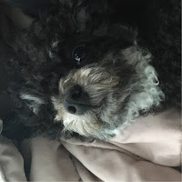 Qnq profile image