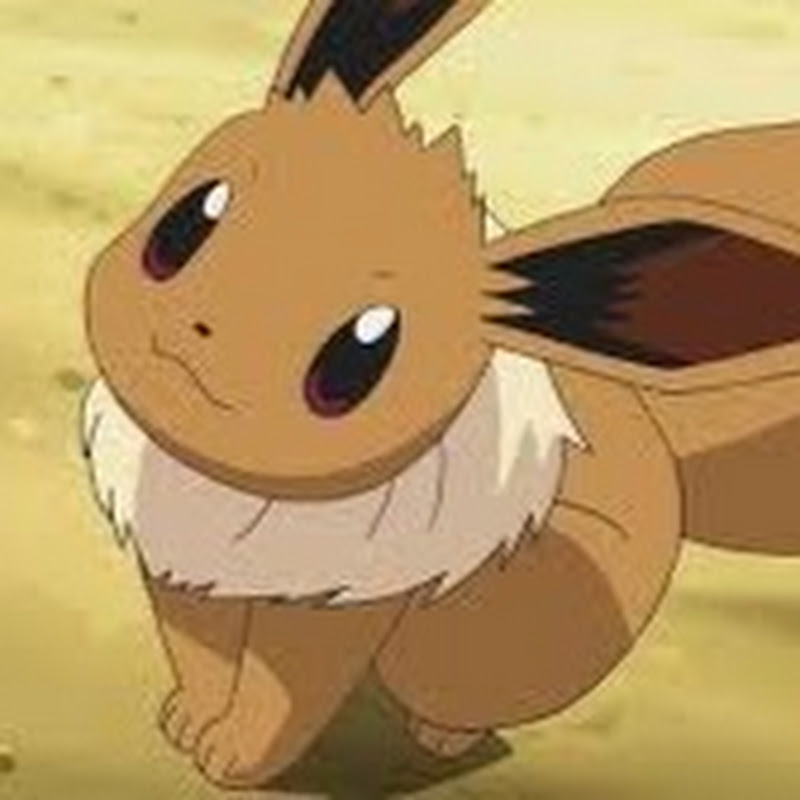 Poke VoiceActing avatar