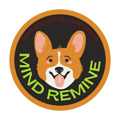 MIND REMINE avatar