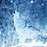 hX_PQwRkq-I-channel-avatar-nna L