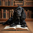 HE3_ANvZHtk-channel-avatar-YASIPES - LIBROS