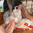 QXX2DX8g83A-channel-avatar-保護猫うんちゃんと旅人