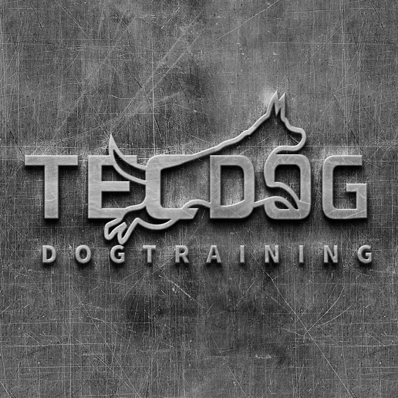 Sebastian Schäfer TECDOG