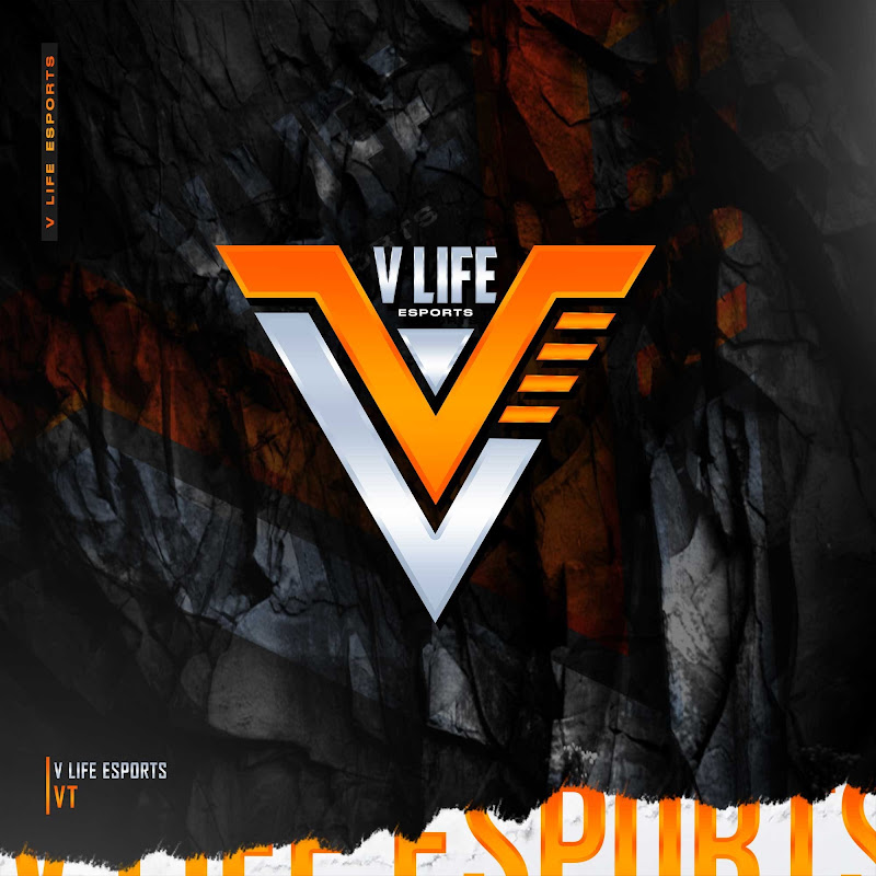 VLIFE ESPORTS 
