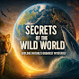 Secrets of the Wild World logo