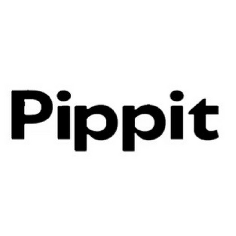 Pippit ai studio