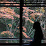 UiuqHe7tWJw-channel-avatar-CozyTravel